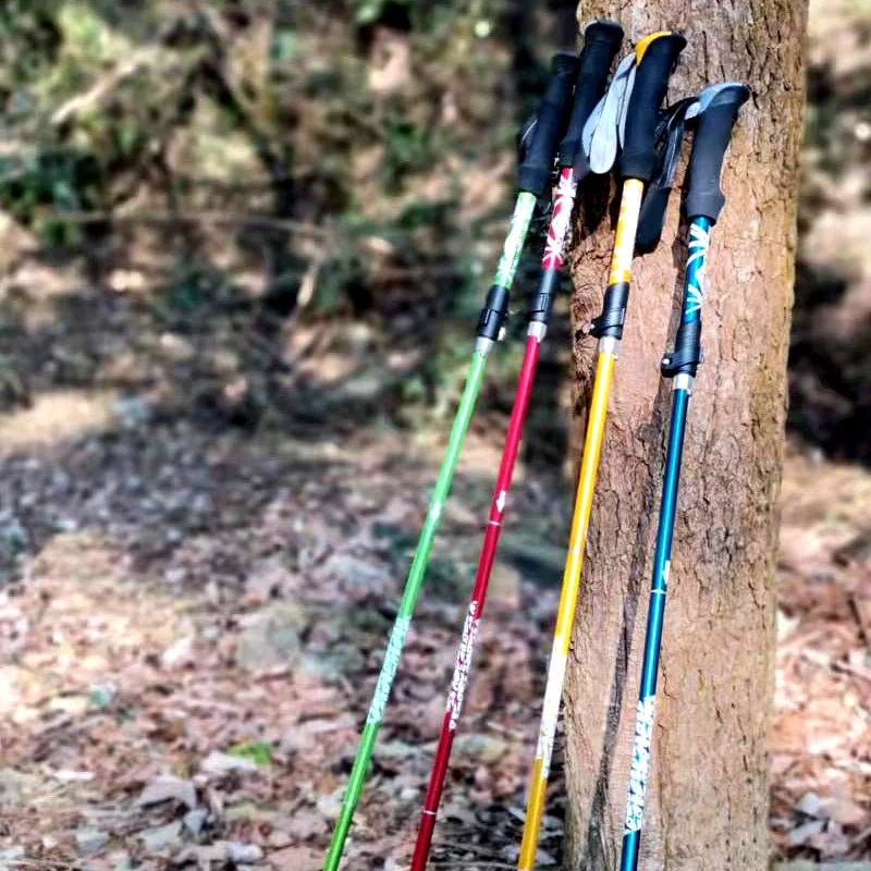 5-Section Folding Trekking Pole – Telescopic Hiking Stick for Camping, Nordic Walking, Travel